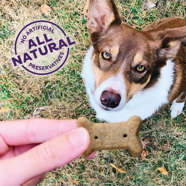 Wellness Old Mother Hubbard Premium Oven-Baked P-Nuttier Dog Biscuits for Small Dogs