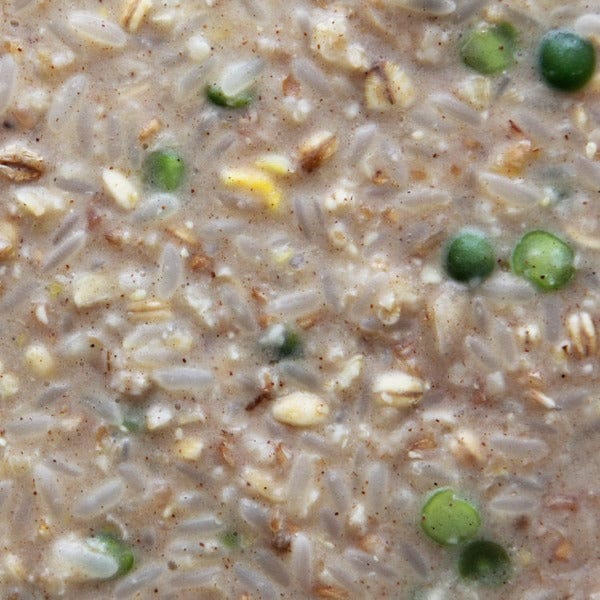 Higgins Worldly Cuisines Creamy Zen Appetizer Bird Food for All Avian Friends