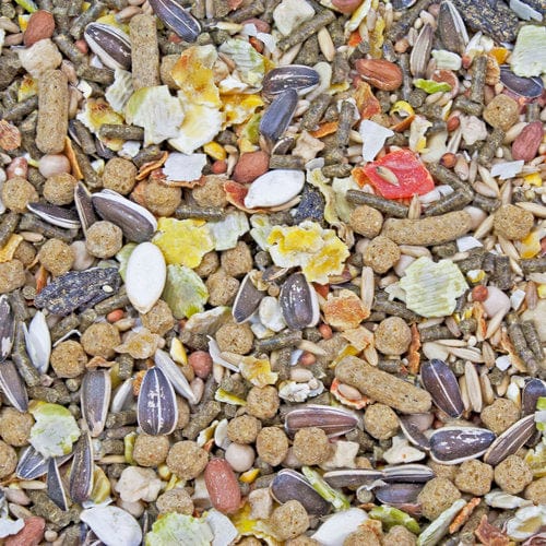 Higgins Premium Sunburst Gourmet Blend Food for Hamsters and Gerbils