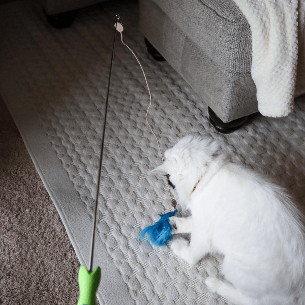 LED Pointer Turbo Telescoping Wand Cat Toy for Endless Fun