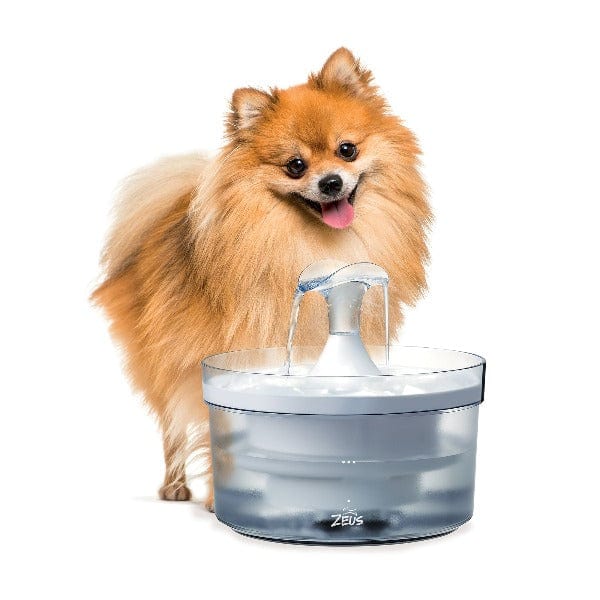 Zeus Fresh and Clean Dog Fountain with Waterfall Spout for Small to Medium Dogs