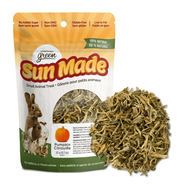Living World Green Sun Branded All - Natural Dried Pumpkin Treats for Small Animals