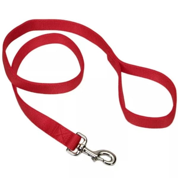 Extra-Durable Coastal Double-Layer Nylon Dog Leash for All Dog Sizes