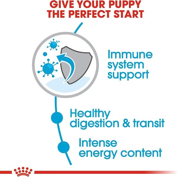 Royal Canin 3lb Dry Dog Food for Extra-Small Puppies