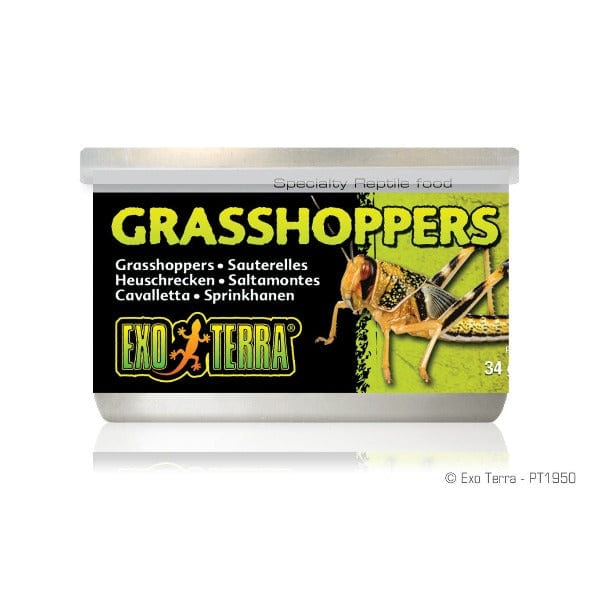 Exo Terra Canned Grasshoppers - Special Reptile Food with High Nutrition