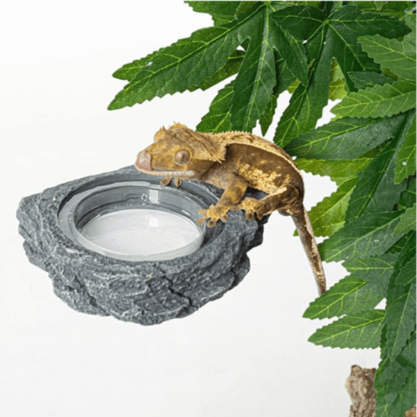Reptizoo Powerful Magnetic Ledge Feeder for Small Reptiles and Amphibians