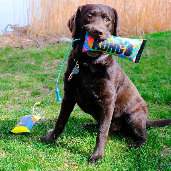 KONG Bunji High-Visibility Bumper Dog Fetch Toy for Energetic Play