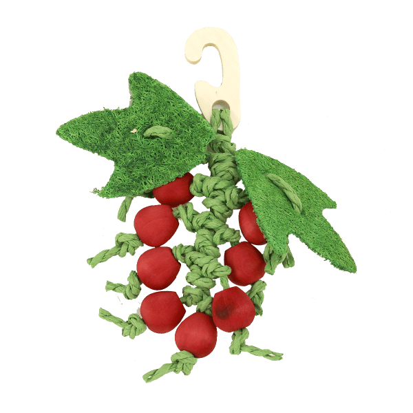 Moss Hollow Small Pet Berry Nibbling Toy for Promoting Activity and Dental Health
