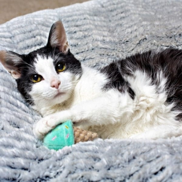 Multipet Plush Ice Cream Cone Cat Toy for Feline Entertainment