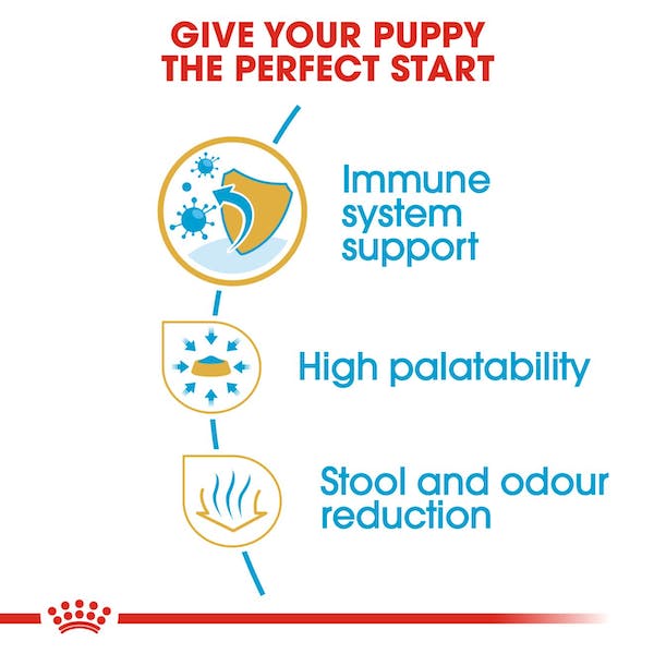 Royal Canin Dry Dog Food Specially Formulated for Chihuahua Puppies, 2.5lb Package