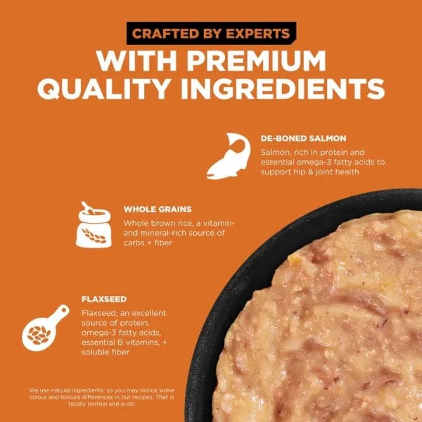 Go! Solutions Premium Salmon Pate Wet Cat Food for Skin and Coat Care
