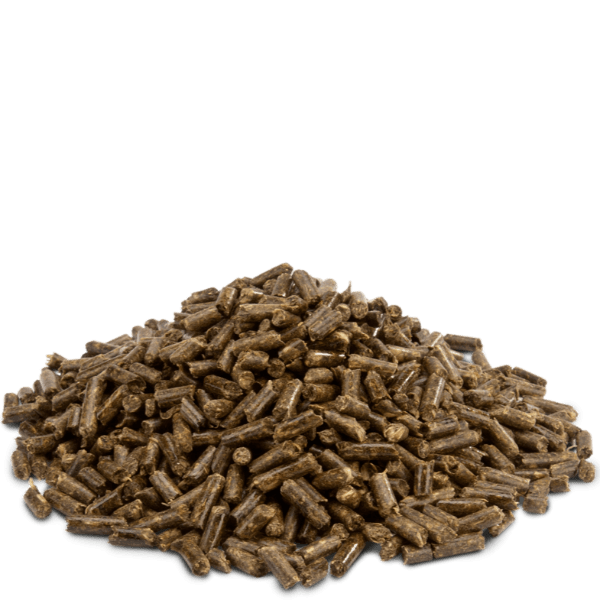 Versele-Laga High - Quality Crispy Pellet Food Designed Specifically for Chinchillas and Degus