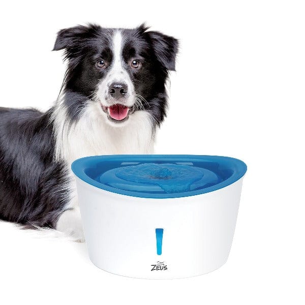 Zeus Cascade Blue-Top Drinking Fountain for Medium to Large Dogs