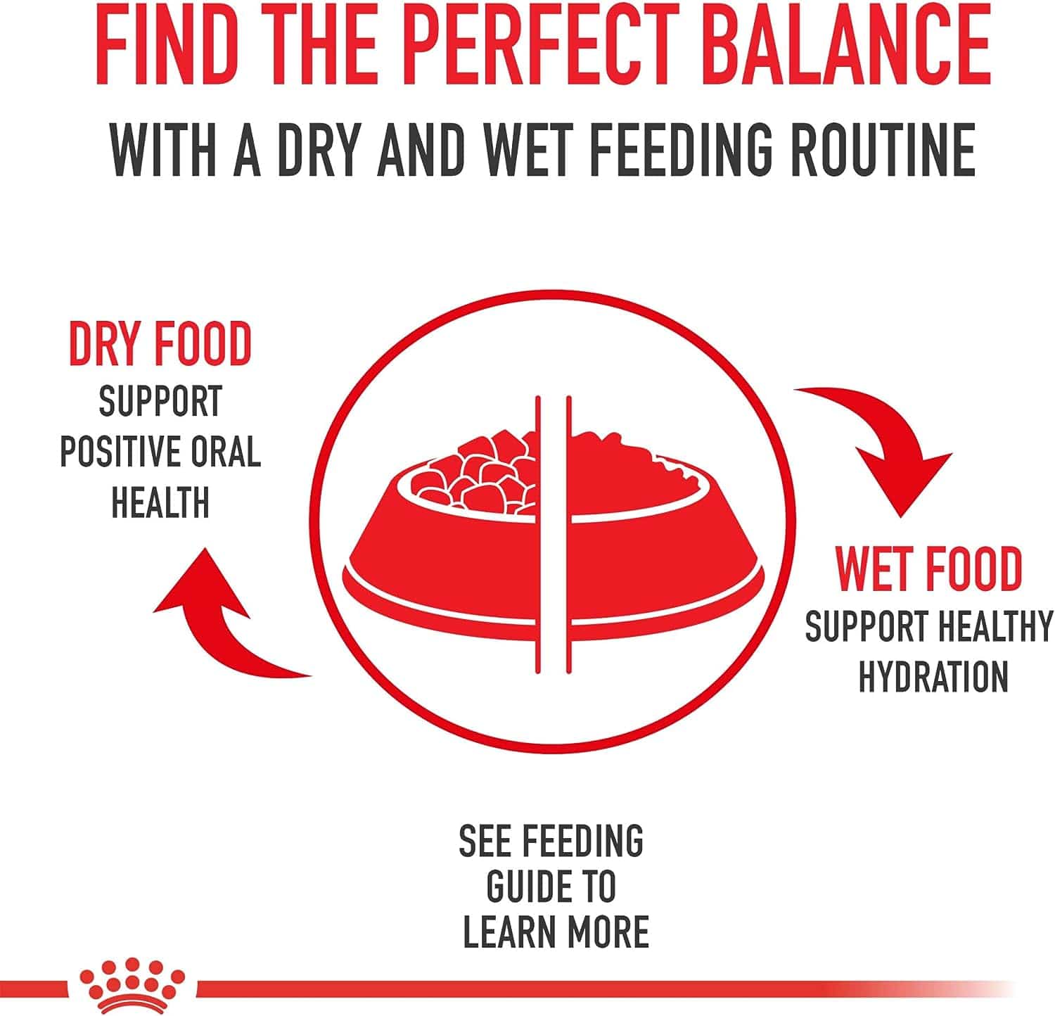 Royal Canin Premium Dry Dog Food for Small Aging Dogs 12 Years and Older, 2.5lb Pack