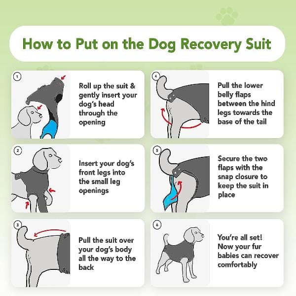 Premium Dog Recovery Suit - Suitical Brand for Post - Surgery and Various Conditions