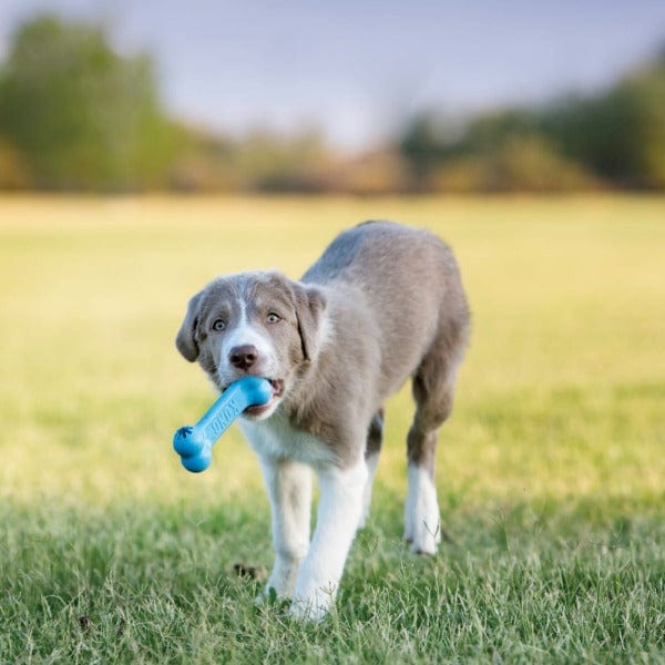 KONG Puppy Interactive Goodie Bone Chew Dog Toy for Small Puppies