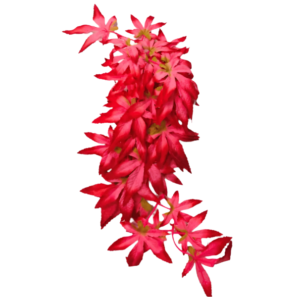 Repti Gear 40cm Silk Reptile Vine Decorations for Terrariums - Various Styles Offered