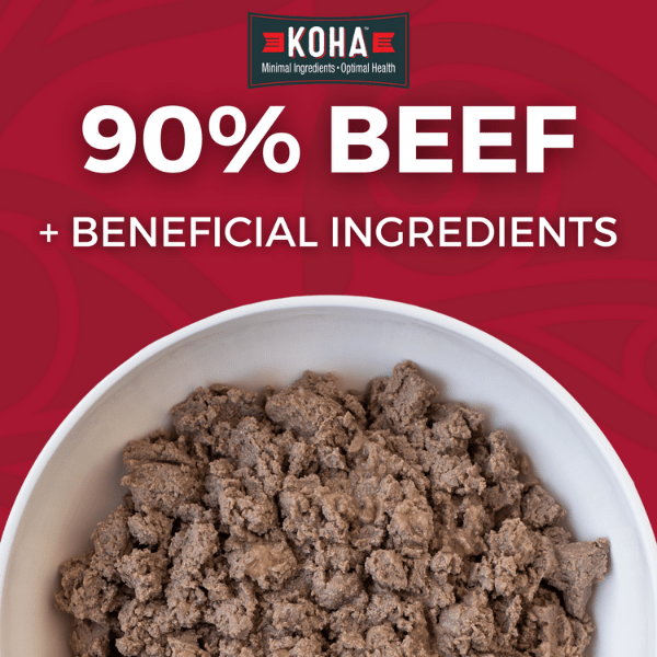 KOHA Premium Canned Beef Entrée Dog Food for Dogs with Extreme Food Sensitivities