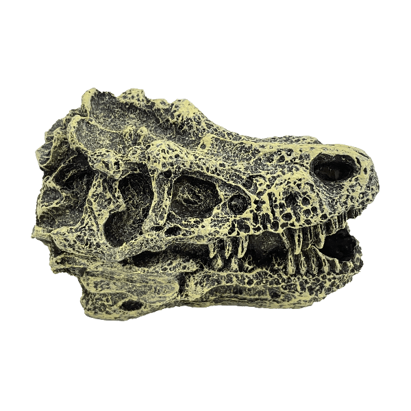 Fish Gear Safe & Fade - Resistant Dino Skull Ornament for Betta Tanks