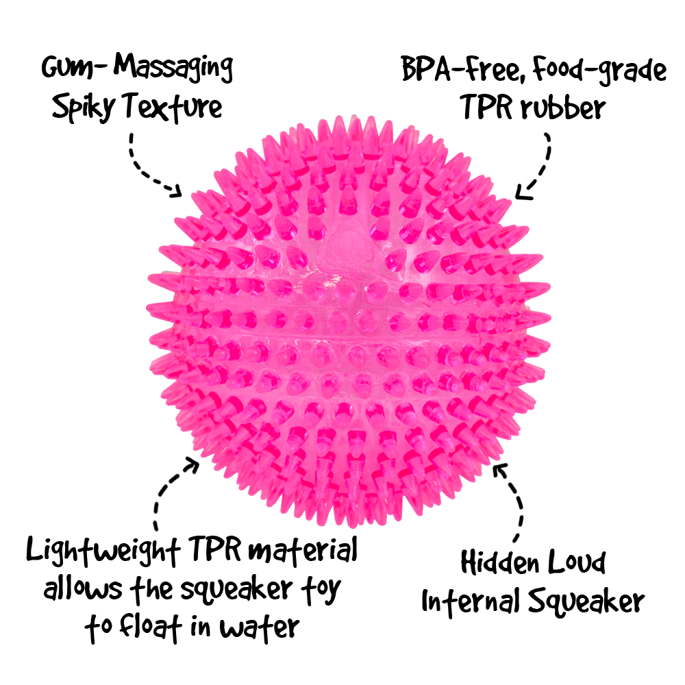 Extra Large Gnawsome Squeaker Ball with Spiky Texture for Big Dogs