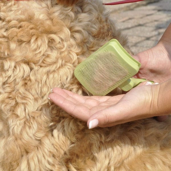 Self-Cleaning Safari Slicker Brush for Dogs - Ideal Grooming Tool