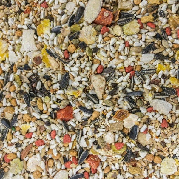 Sunburst Premium Gourmet Food Blend for Conure Birds