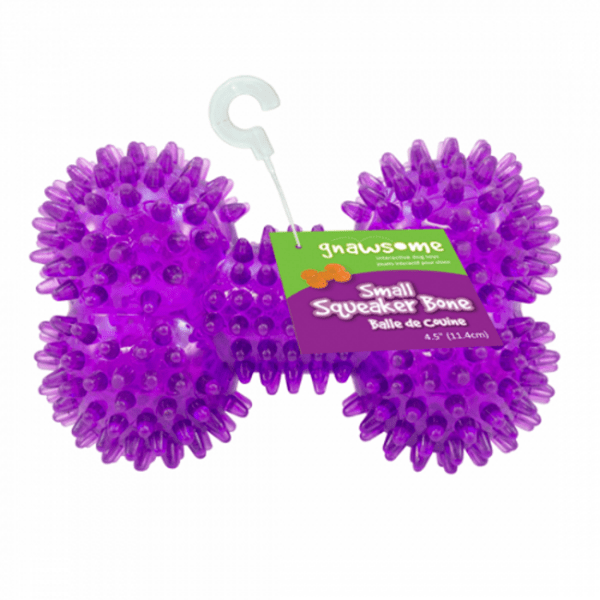 Gnawsome Small-Sized Squeaky Bone Toy for Dogs