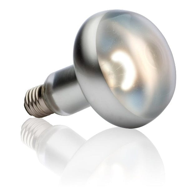 Exo Terra High - Intensity Spot Lamp for Reptile Basking