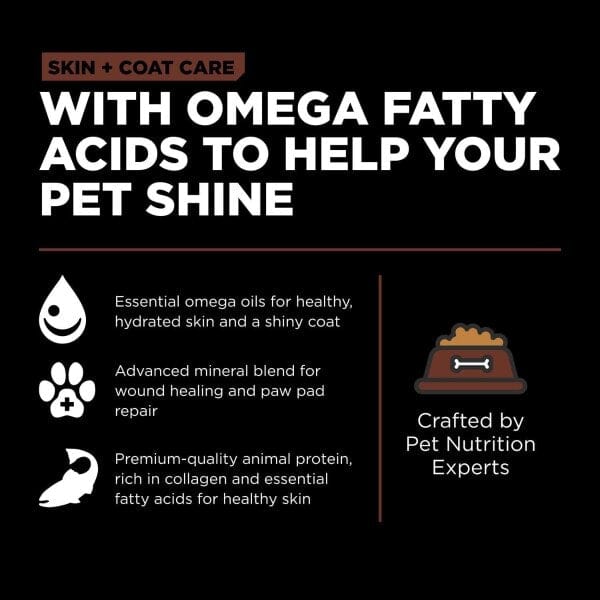 Go! Solutions Premium Dry Puppy Food for Large Breeds - Skin & Coat Care with Salmon and Grains Recipe