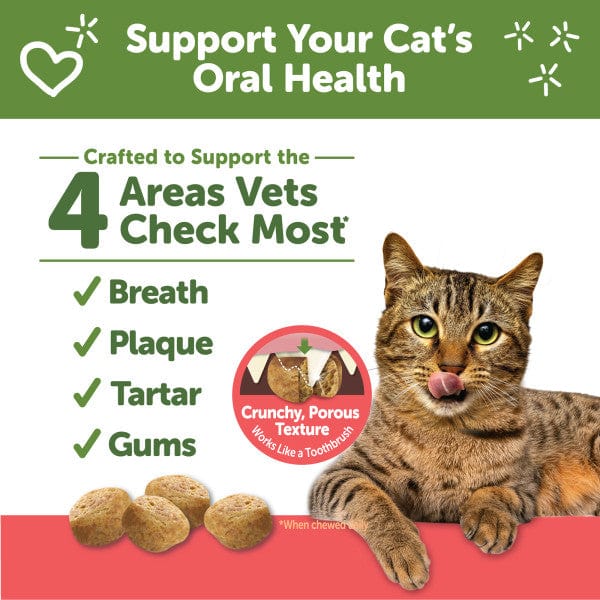 Whimzees Natural Dental Cat Treats with Chicken & Salmon Flavors