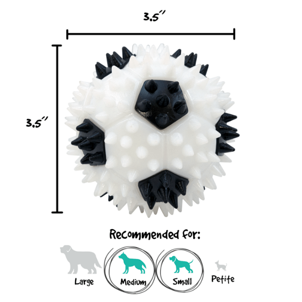 Gnawsome Interactive Squeaker Soccer Ball Toy for Small and Medium Dogs