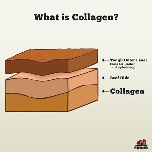 RedBarn High - Protein Puffed Collagen Ring Treat