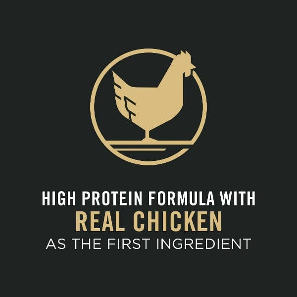 Purina Pro Plan 16lb Adult 7+ Bright Mind Chicken & Rice Dry Dog Food
