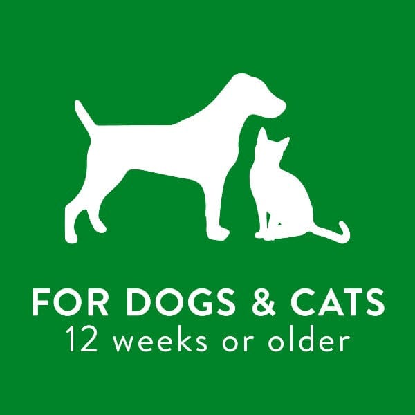 Tropiclean Lime & Coconut Anti - Shedding Shampoo for Dogs and Cats