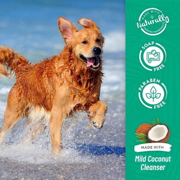 Tropiclean Lime & Coconut Anti - Shedding Shampoo for Dogs and Cats