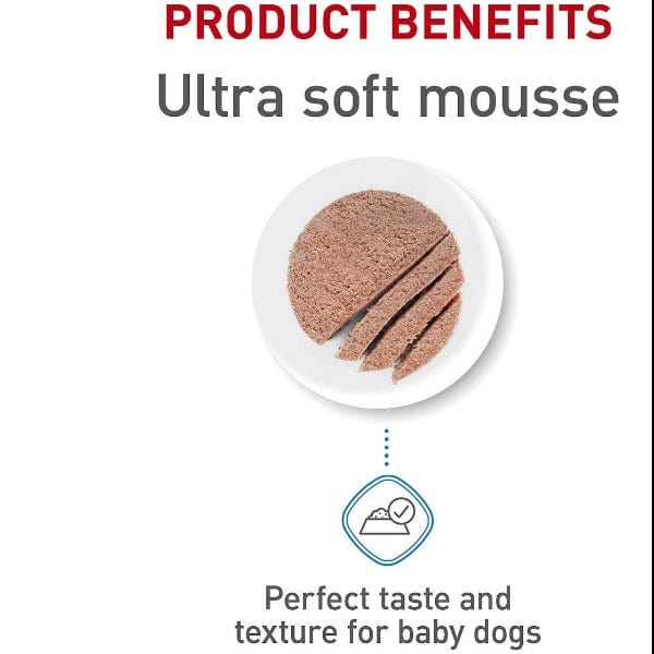 Royal Canin 145g Starter Canned Dog Food Mousse in Sauce for Mother & Babydogs