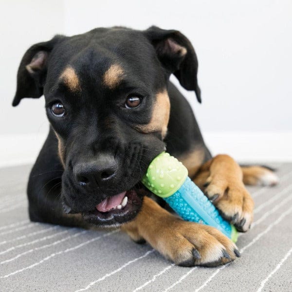 KONG Corestrength Durable Multilayered Bone-shaped Dog Chew Toy for Endless Play