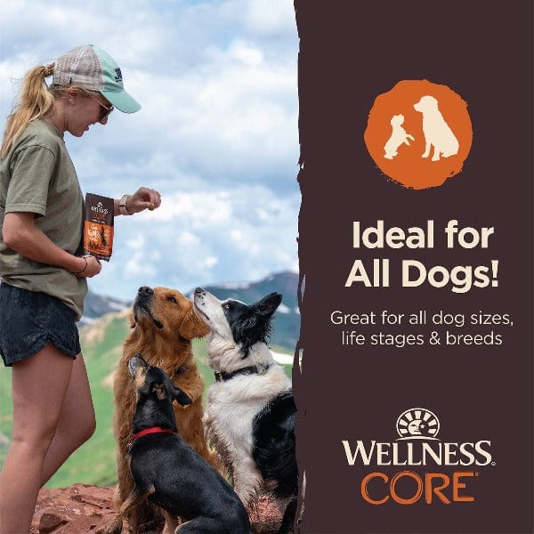 Wellness CORE Turkey & Pomegranate Tiny Trainers Tasty Dog Treats