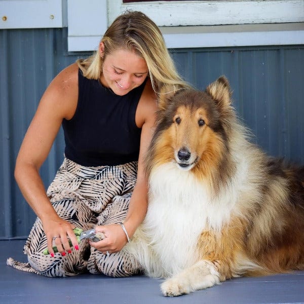 Safari High - Quality Professional Stainless Steel Dog Nail Clipper for Grooming