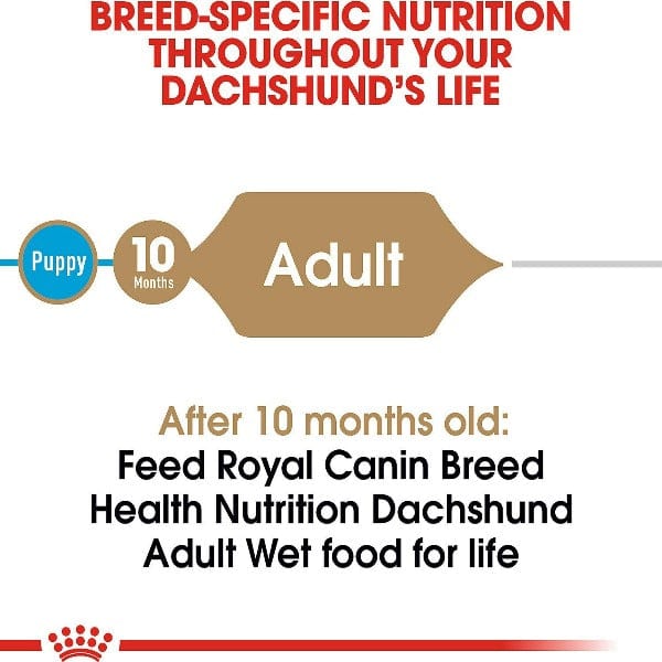 Royal Canin Canned Dog Food in Sauce for Dachshunds, 85g (3 oz) - Ideal for Purebred Dachshunds Over 10 Months