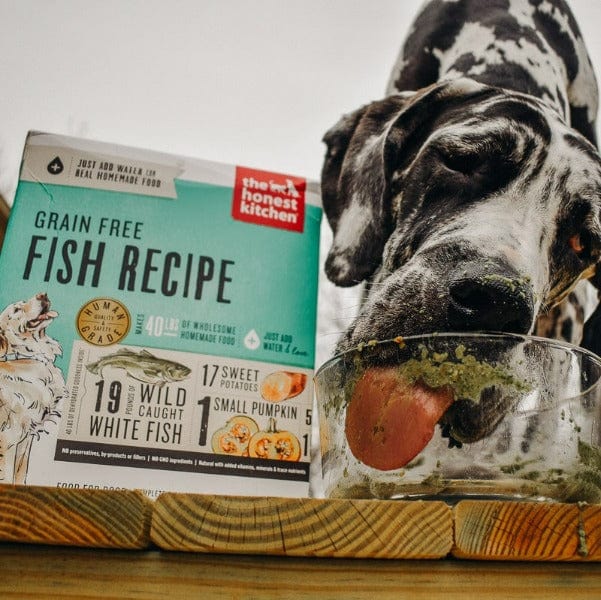 The Honest Kitchen Premium Grain - Free Dehydrated Dog Food with Fish Recipe, 10 - Pound Bag (Special Order Item)