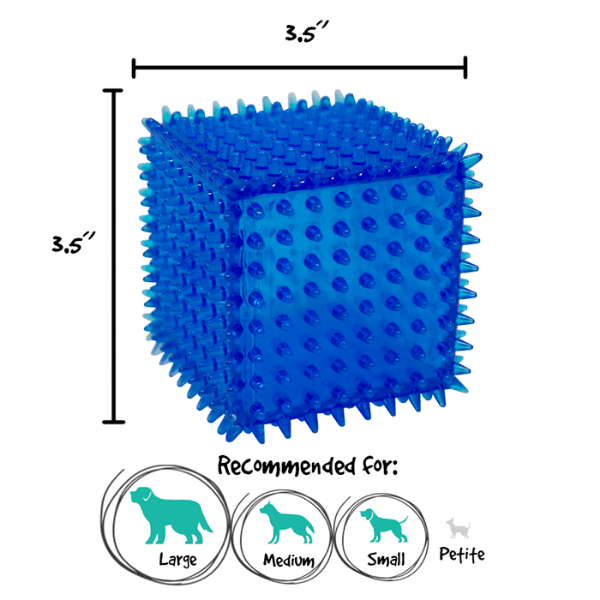 Gnawsome Interactive Spiky Squeaking Cube Dog Chew Toy