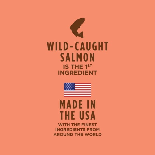 Instinct Healthy Cravings Grain - Free Dog Food Pouch with Real Wild - Caught Salmon Recipe