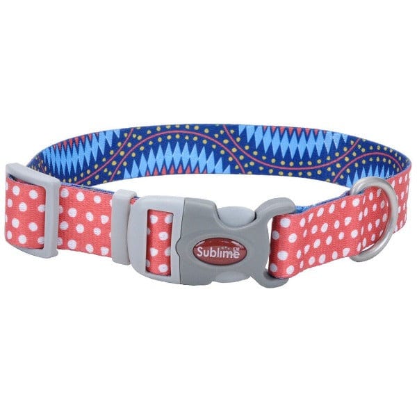 Sublime Durable Adjustable Dog Collar with Unique Patterns