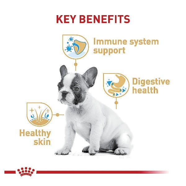 Royal Canin Premium Dry Dog Food Specially Formulated for French Bulldog Puppies, 3lb