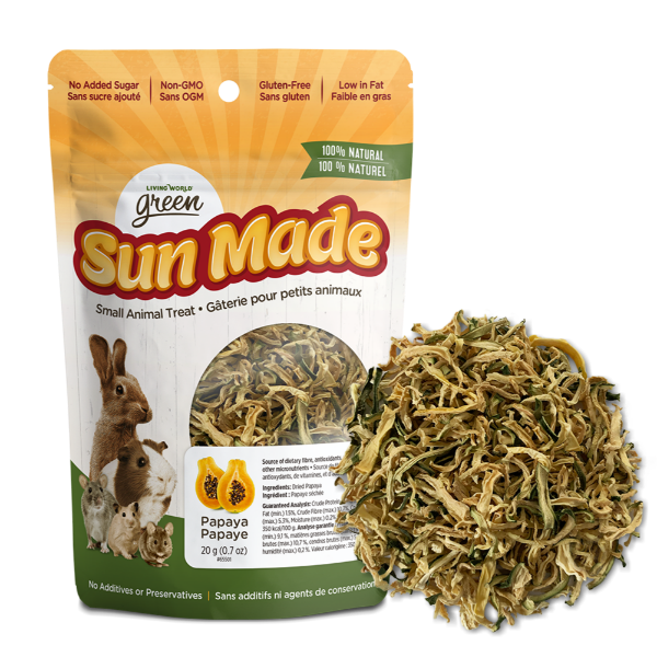 Living World Green Sun's Premium All - Natural Dried Papaya Treats for Small Animals