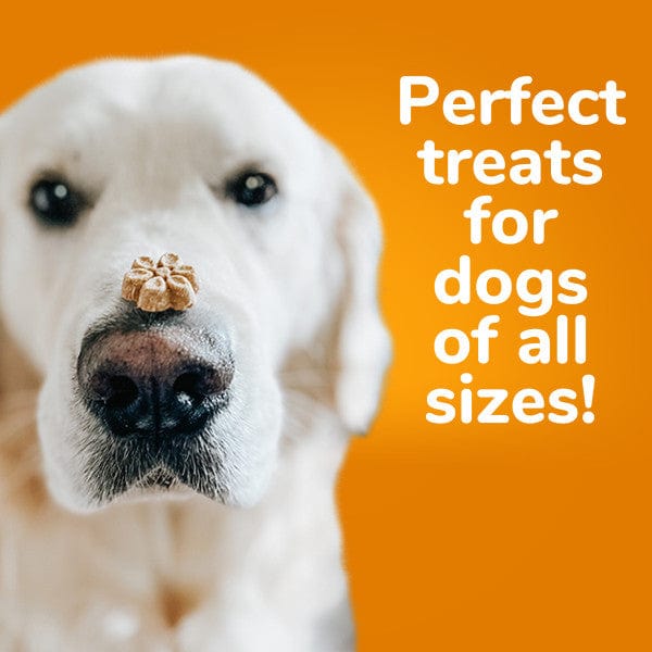 Fruitables Oven - Baked Crispy Bacon and Sweet Apple Flavored Dog Treats