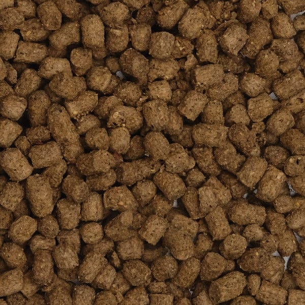 Fluval Bug Bites Slow Sinking Pellet Fish Food for Cichlids, 100 Gram Pack