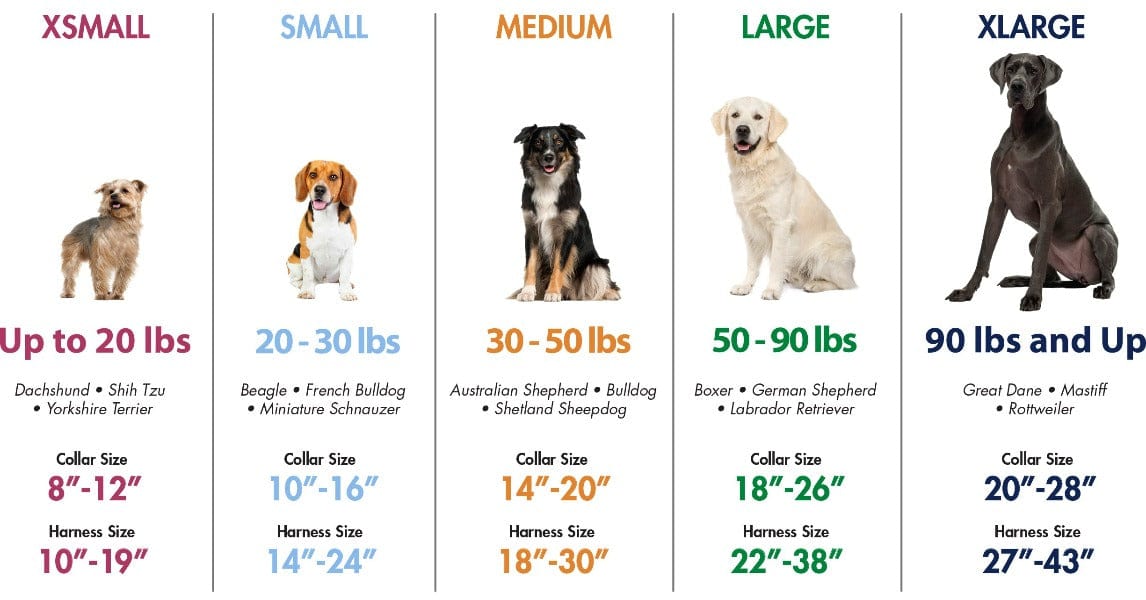 Coastal Adjustable No-Slip Martingale Dog Collar with Buckle - Ideal for Slippery Dogs