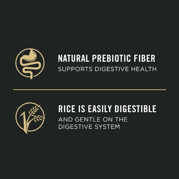 Purina Pro Plan Canned Dog Food: Salmon & Rice for Sensitive Skin and Stomach